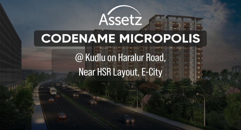 Assetz Codename Micropolis