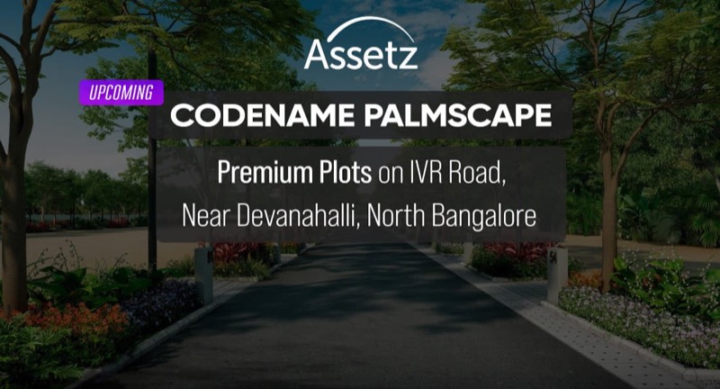 Assetz Codename Palmscape
