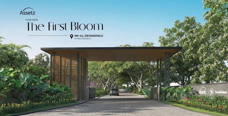 Assetz Codename The First Bloom