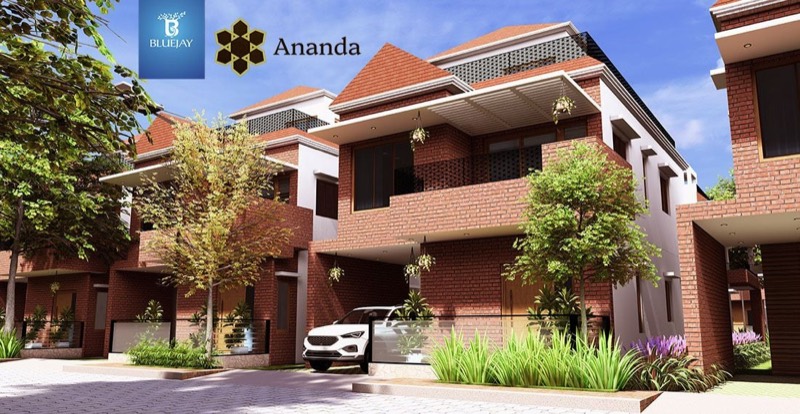 Bluejay Ananda