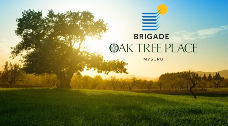 Brigade Oak Tree Place