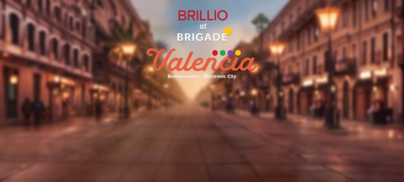 Brillio at Brigade Valencia