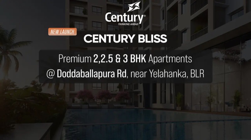 Century Bliss