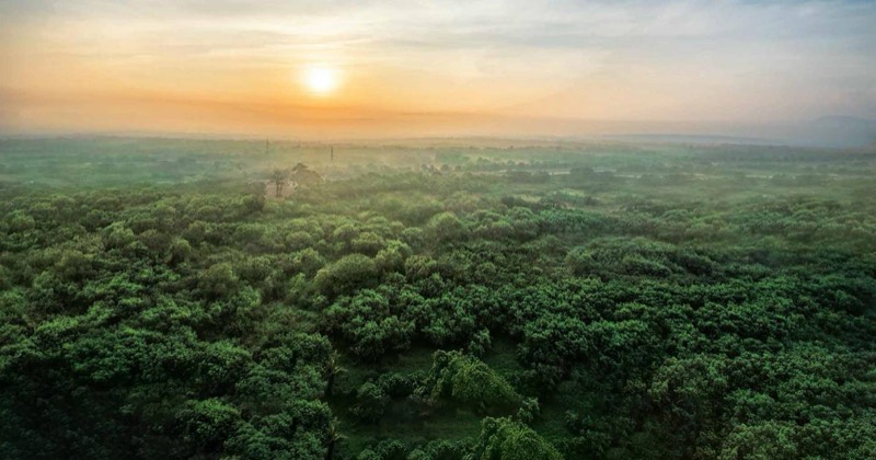Godrej Ananda
