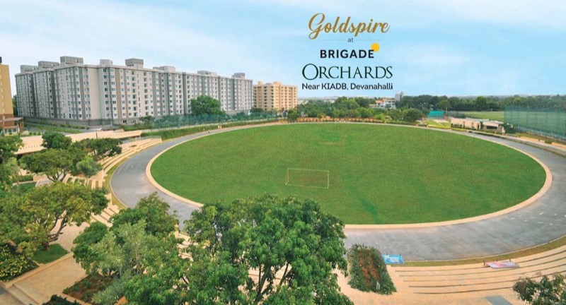 Goldspire at Brigade Orchards