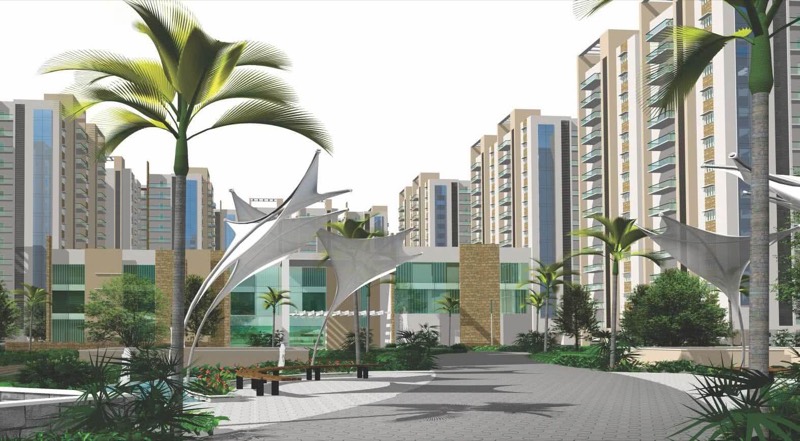 Jains Carlton Creek