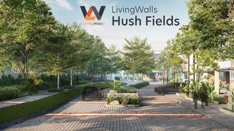 Living Walls Hush Fields Plots