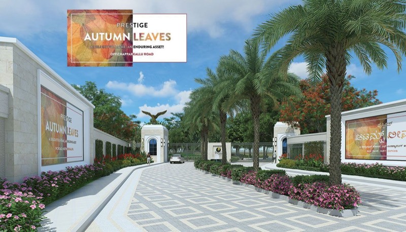 Prestige Autumn Leaves