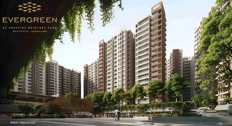 Prestige Evergreen