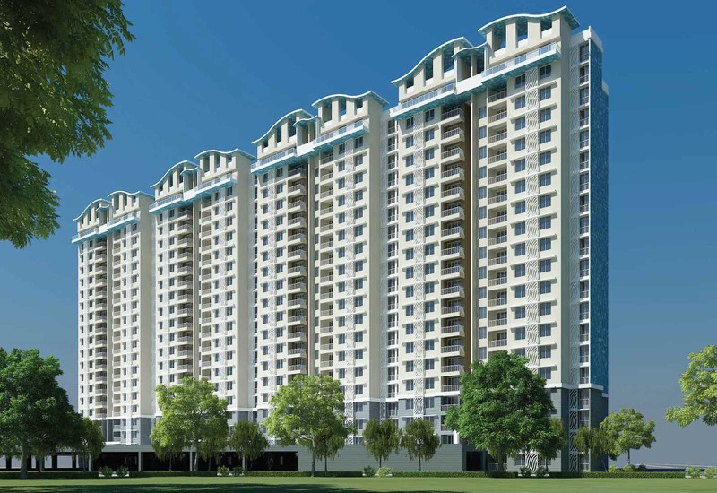 Purva Waves