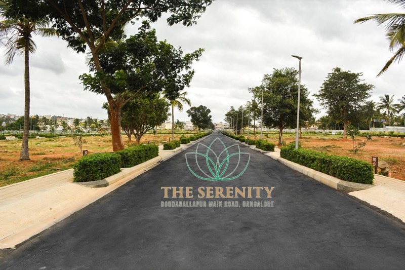 The Serenity Address